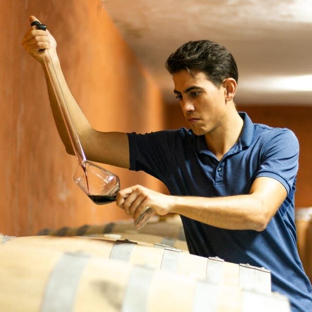 Xalo: Vineyard Tour with Wine Tasting and Snacks - FAQs