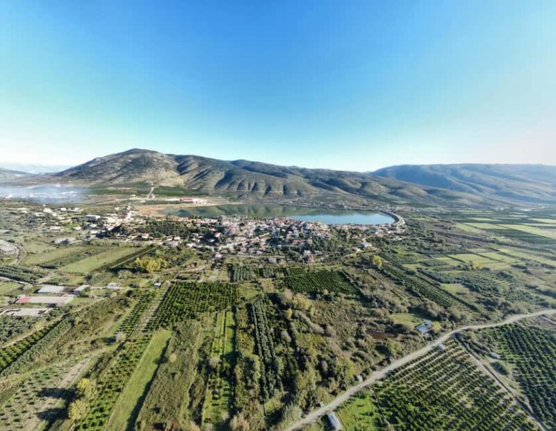 Xarrë: Mandarin Farming Tour with Traditional Cooking Lunch - The Experience in Context