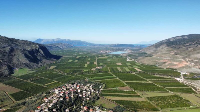 Xarrë: Mandarin Farming Tour with Traditional Cooking Lunch - Who Will Love This Tour?