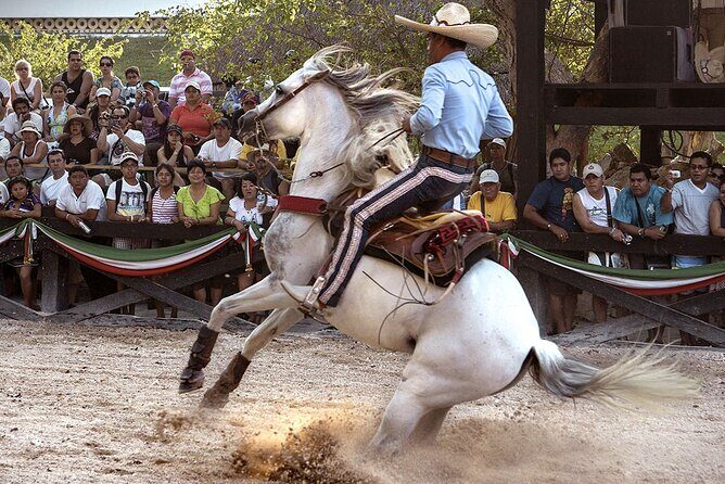Xcaret Park Day Tour & Night Show with Transportation - What’s Included and What’s Not