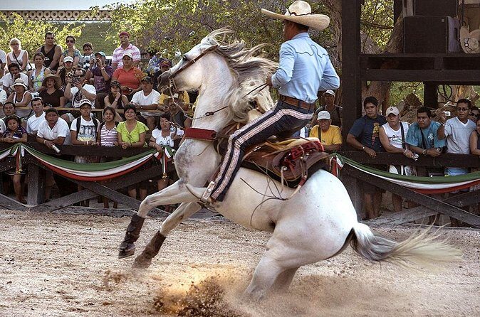 Xcaret Park Day Tour & Night Show with Transportation - Transportation and Logistics