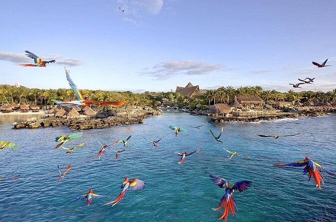 Xcaret Park Day Tour & Night Show with Transportation - Real Travelers’ Perspectives