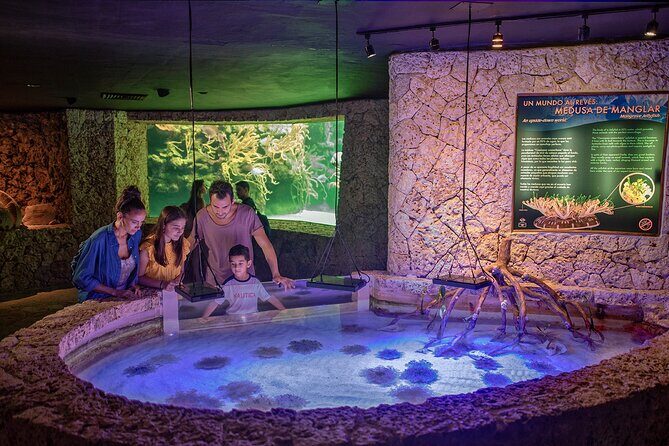 Xcaret Park Entry Tickets with Cultural Night Show Included - Key Points