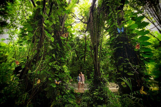 Xcaret Park Entry Tickets with Cultural Night Show Included - Getting There and Timing