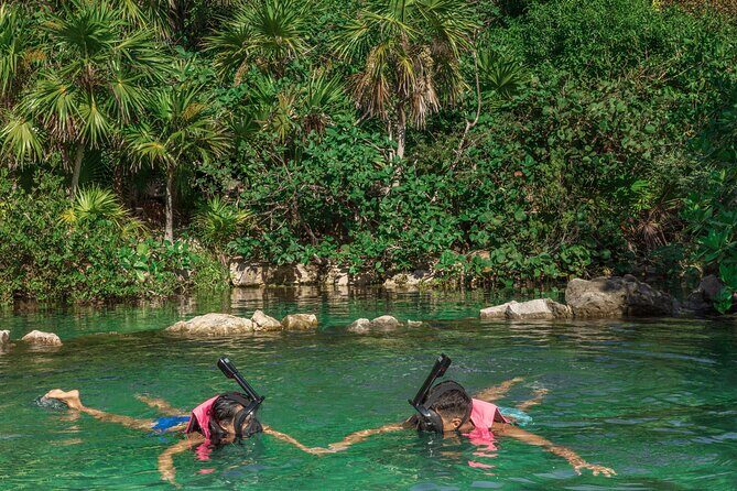 Xcaret Park Entry Tickets with Cultural Night Show Included - Who Is This Tour Best For?