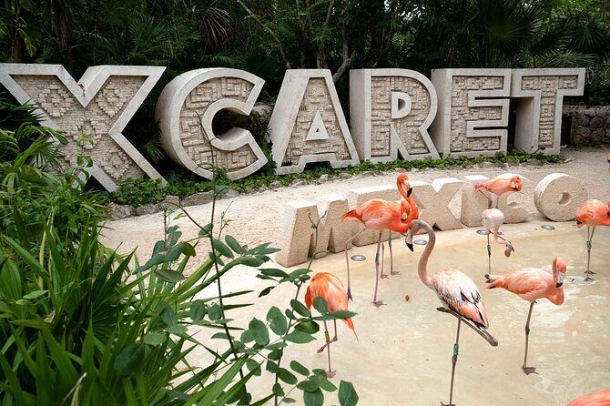 Xcaret Plus Full Day Tour - The Itinerary in Detail