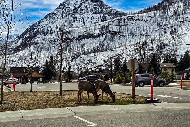 Xclusive Wonders of Waterton Your Private Journey of NaturesBest - The Experience in Detail: A Day in Waterton