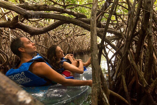 Xel-ha Gorgeous Adventure! Round Transportation From Cancun - The Sum Up