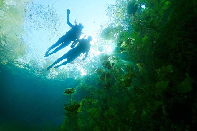 Xenotes Adventure from Riviera Maya - FAQ