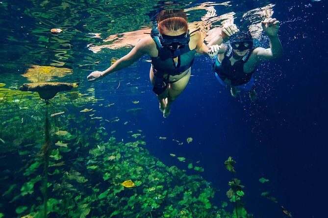 Xenotes Full Nature Experience! Round Transportation From Cancun & Riviera Maya - What Is the Xenotes Full Nature Experience All About?