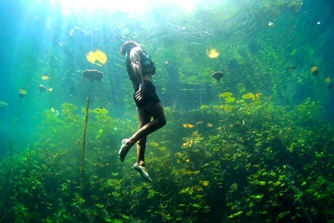 Xenotes Nature Adventure! Round Transportation From Cancun & Riviera Maya - Who Is This Tour Best For?