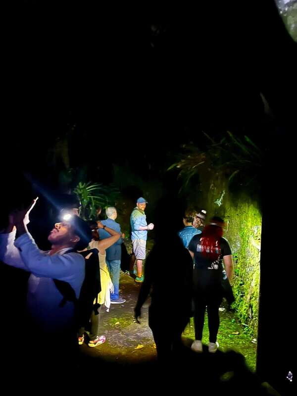 Xilitla - Caminando por un sueño surrealista - Exclusive Night Access and Special Touches