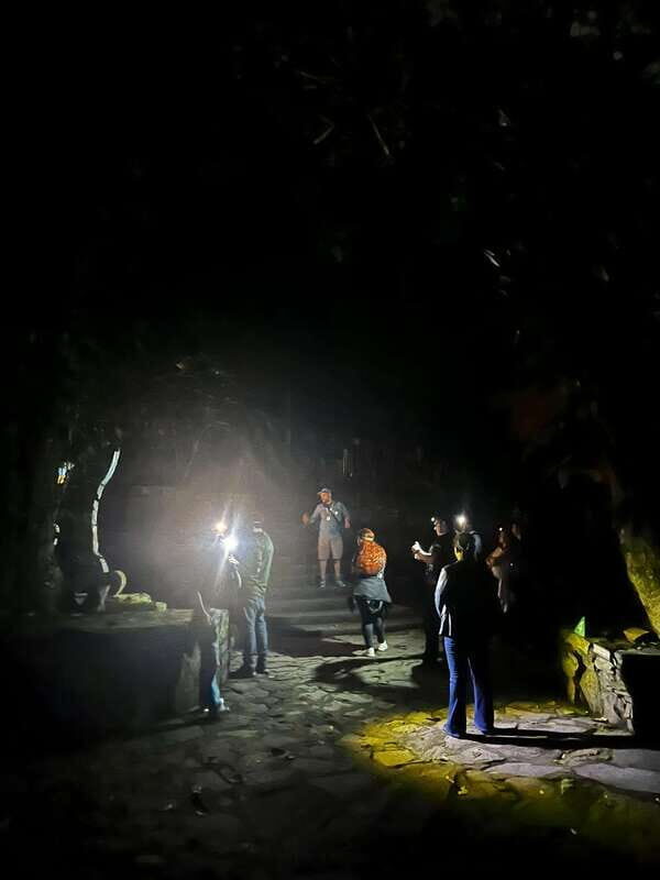 Xilitla - Caminando por un sueño surrealista - What to Expect and Practical Info