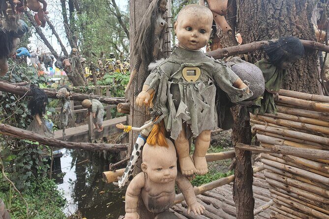 Xochimilco Boat PartyTemptation + 18 with open bar and cleats - Who Should Consider This Tour?