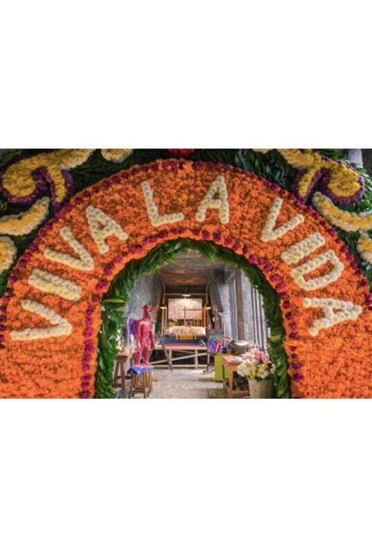 Xochimilco Canals and the Treasures of Coyoacán Tour - The Intellectual Buzz of UNAM