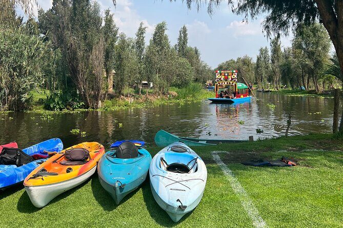 Xochimilco Canals by Kayak - What We Think About the Price and Value