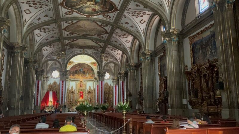 Xochimilco & Colonial Coyoacan Trip - Value for Money and Overall Experience