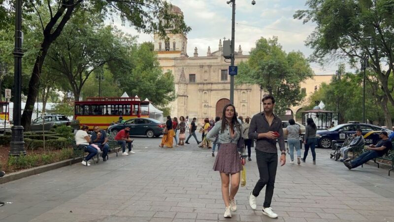 Xochimilco & Colonial Coyoacan Trip - The Real Traveler Feedback