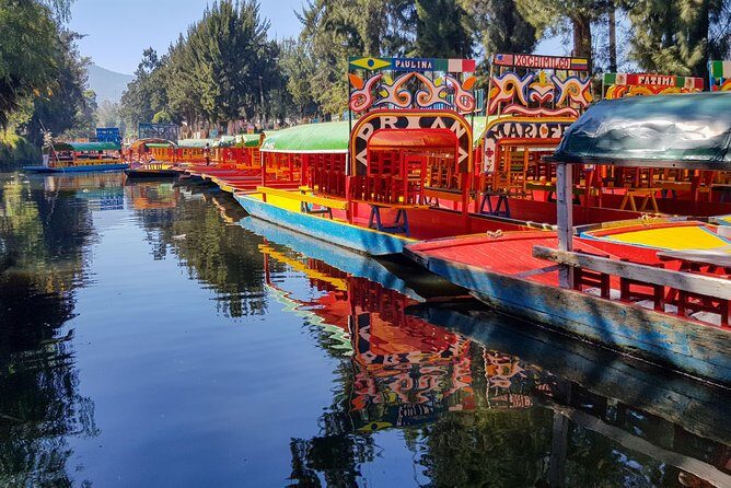 Xochimilco, Coyoacan, Aztec Stadium & UNAM - Who Is This Tour Best For?