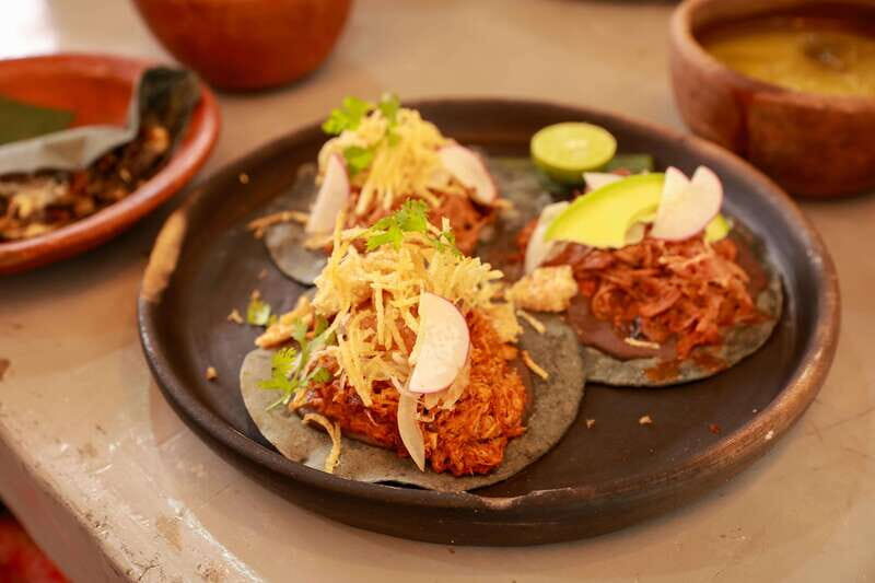 Xochimilco + Coyoacán Combo Full-Day Tour - Frida Kahlos Blue House