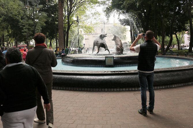 Xochimilco, Coyoacan, Frida Kahlo Museum & Artistic Murals - Who’s This Tour Best For?