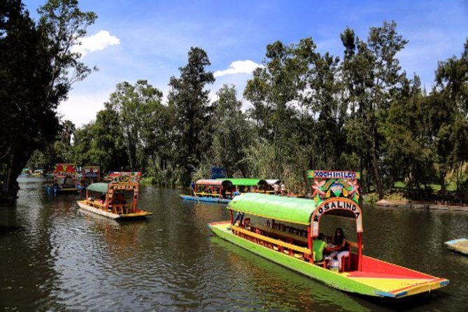 XOCHIMILCO & COYOACAN (Private) - Who Is This Tour Best For?
