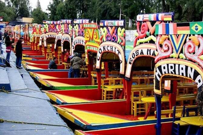 Xochimilco - Coyoacan Tour - Where Might It Fall Short?