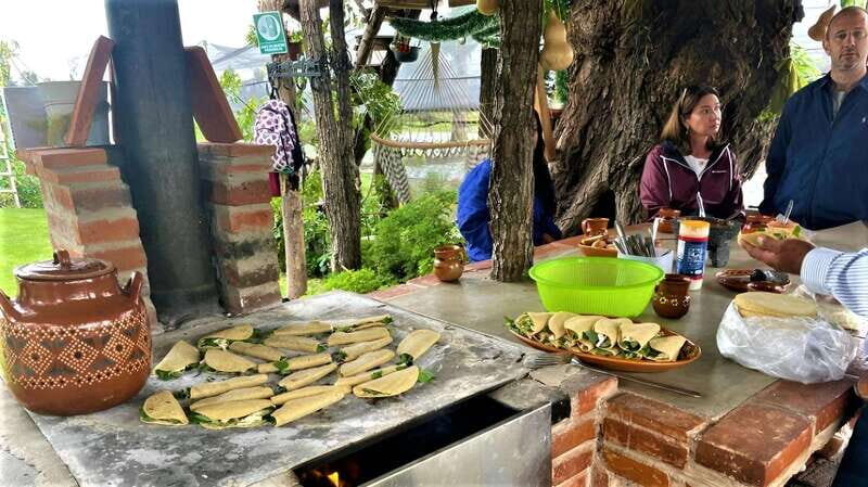 Xochimilco Day Trip: Farmland Food and Hop on a Trajinera - What to Expect from the Tour