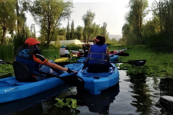 Xochimilco Day Trip Know a Farmland Food and Hop on a Trajinera - Is This Tour Worth the Price?