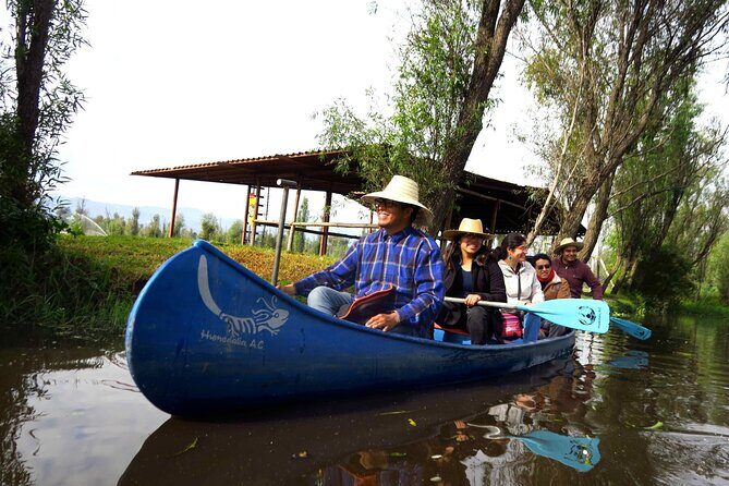 Xochimilco Ecotourism at Dawn in Canoe and Organic Breakfast - The Dawn Canoe Ride: Pure Nature and Tranquility