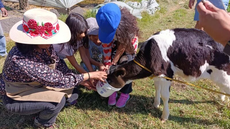 Xochimilco for kids and families - Exploring Xochimilco with Kids and Families: An Honest Review