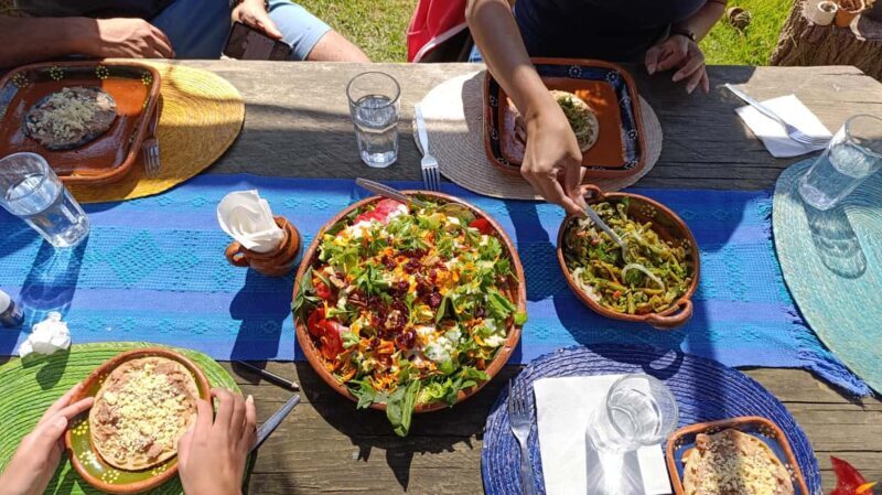 Xochimilco for kids and families - The Sum Up: Is This Tour Right for You?