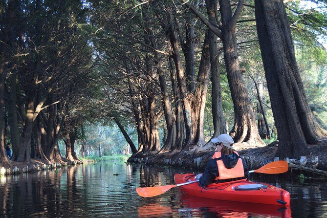 Xochimilco in Kayak - A Closer Look at the Xochimilco Kayak Experience