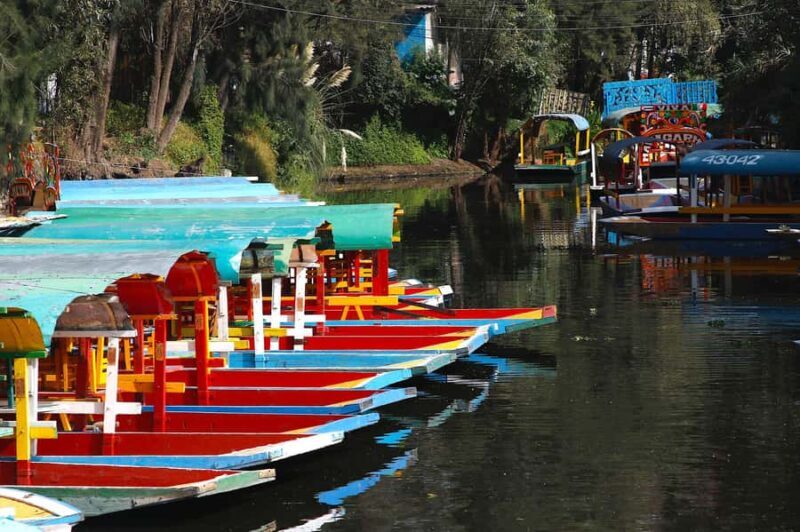 Xochimilco: Party on a trajinera with food, drinks, and music - What to Expect from the Xochimilco Boat Party