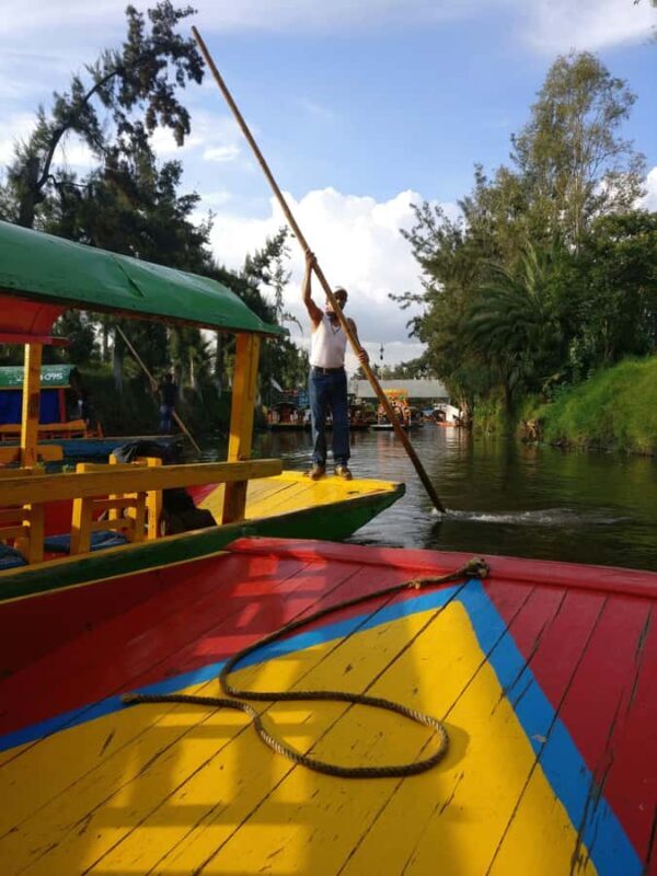 Xochimilco: Party on a trajinera with food, drinks, and music - Who Should Consider This Experience?