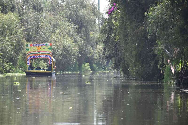 Xochimilco Serene: A Calm Cultural Escape from the Crowds - Key Points