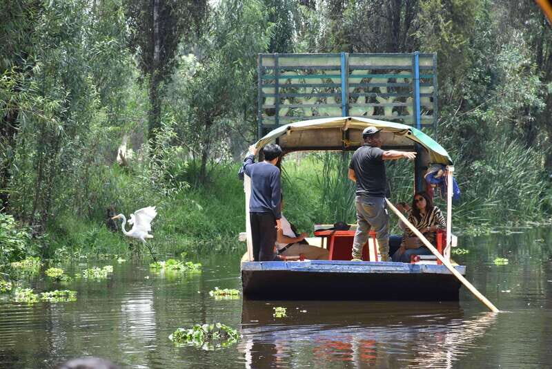 Xochimilco Serene: A Calm Cultural Escape from the Crowds - Final Thoughts