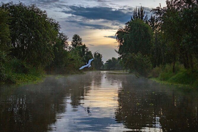 Xochimilco Sunrise from Mexico - Key Points