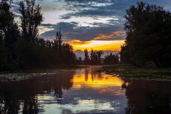 Xochimilco Sunrise from Mexico - A Detailed Look at the Xochimilco Sunrise Experience