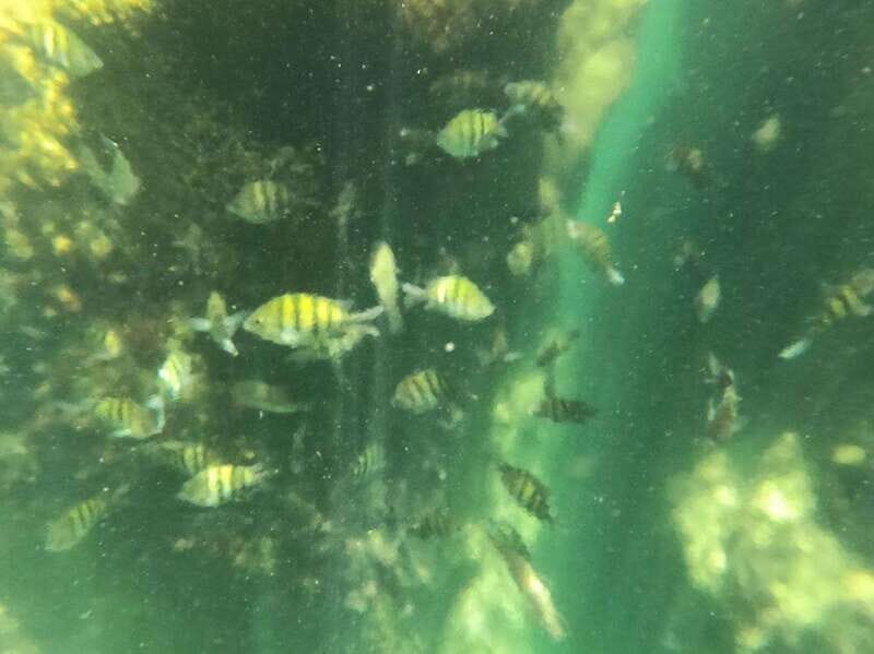 Yalku :Akumal snorkeling Muuch Kay Ecopark - FAQ