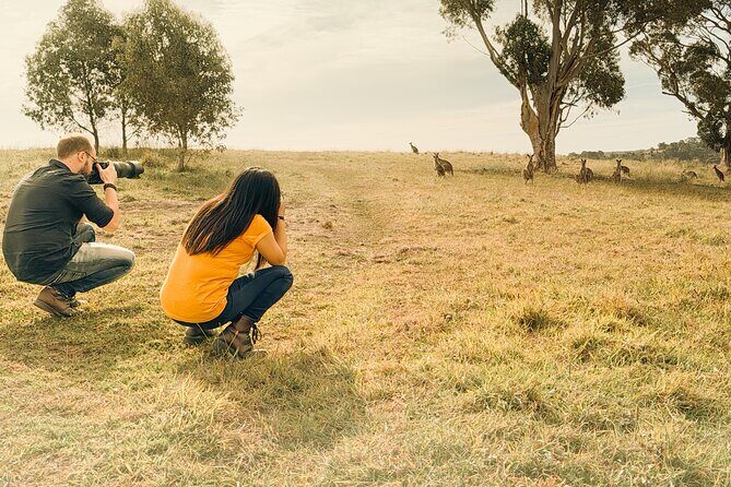 Yarra Valley by night! Private wine, whisky and dinner tour - Stop 3: Dinner at Meletos