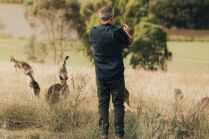 Yarra Valley by night! Private wine, whisky and dinner tour - Practical Details and Considerations