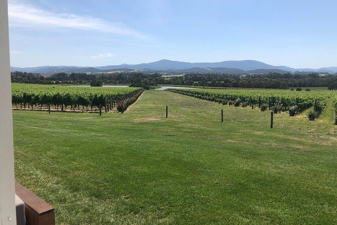 Yarra Valley, Dandenong Ranges inc. lunch with wine,plus morning tea,chocolate - Discovering the Details: What This Tour Really Offers