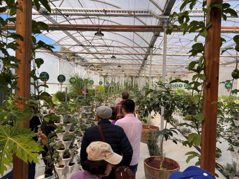 Yarra Valley Full Day Grazing Tour: Gin, Wine, Pizza, Cheese - Who Would Enjoy This Tour?