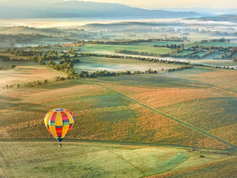 Yarra Valley: Hot Air Balloon Flight & Buffet Breakfast - Key Points
