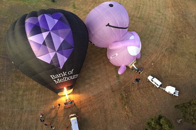 Yarra Valley sunrise balloon flight only - The Optional Breakfast