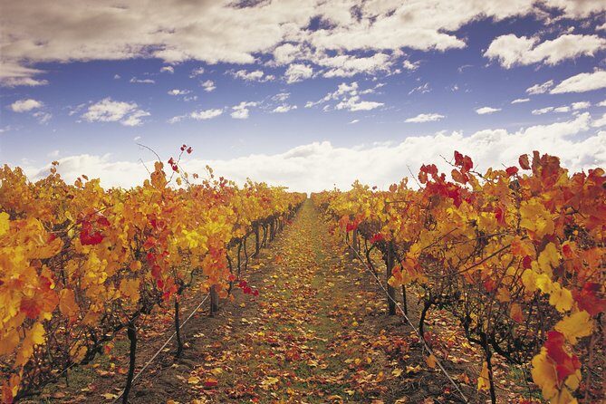 Yarra Valley Wildlife & Wine Day Tour with Healesville Sanctuary - Final Thoughts