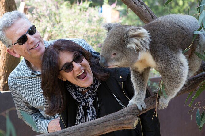 Yarra Valley Wine & Wildlife - Private Regional Tour - Final Thoughts