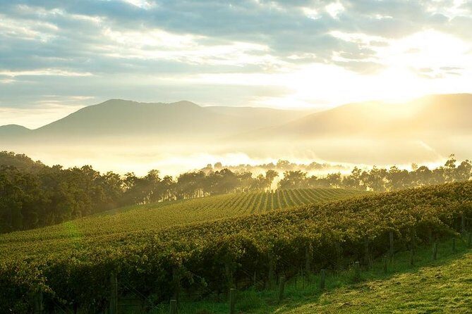 Yarra Valley Wine & Wildlife - Private Regional Tour - FAQ