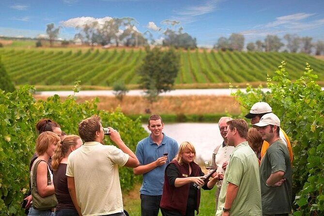 Yarra Valley Wine & Winery Tour from Melbourne - All Inclusive! - Key Points